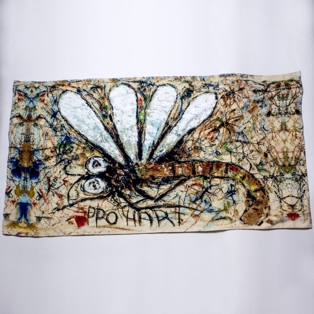 Pro Hart Carpet Dragonfly Beach towel Pro Hart